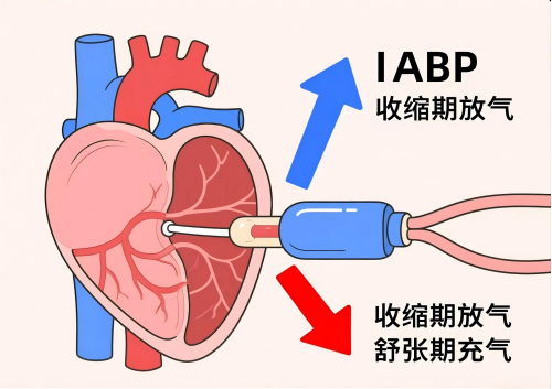 C:\Users\Administrator\Desktop\图片2(1).png
